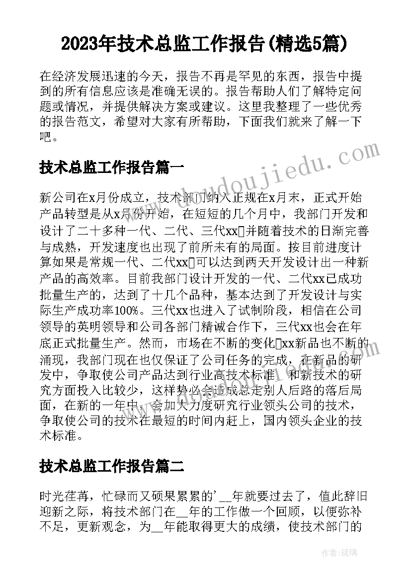 2023年技术总监工作报告(精选5篇)