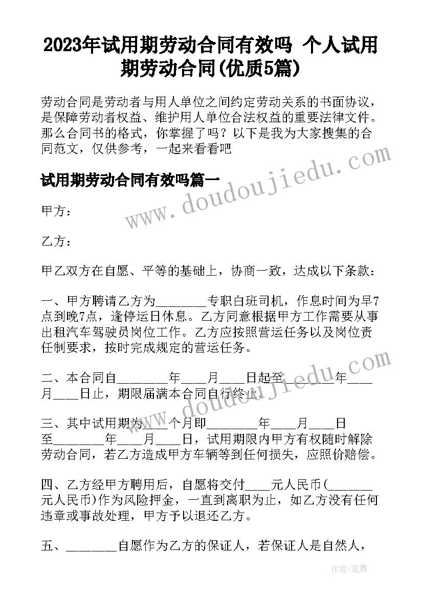 2023年试用期劳动合同有效吗 个人试用期劳动合同(优质5篇)