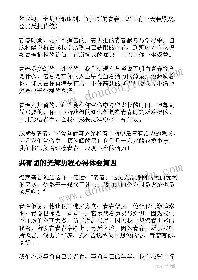 2023年共青团的光辉历程心得体会(通用5篇)