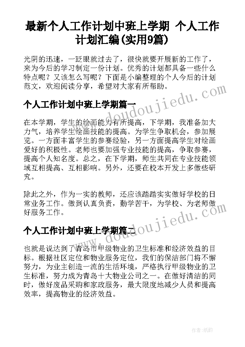 最新个人工作计划中班上学期 个人工作计划汇编(实用9篇)