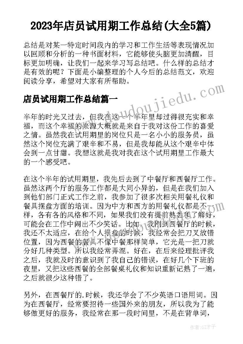 2023年店员试用期工作总结(大全5篇)