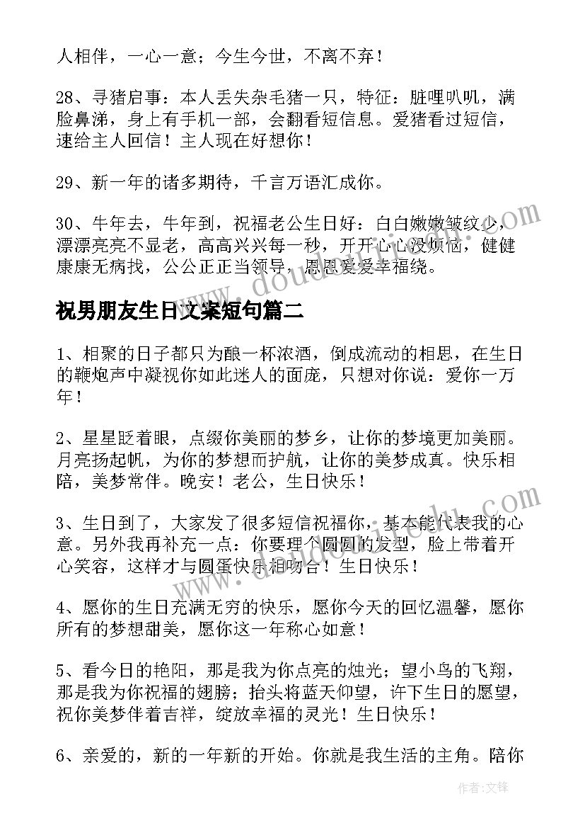 最新祝男朋友生日文案短句(汇总5篇)