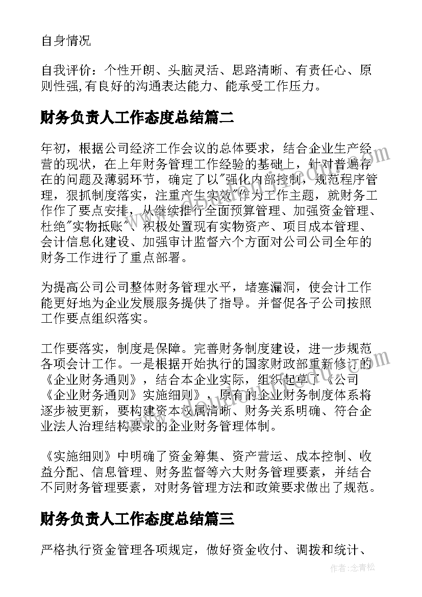 财务负责人工作态度总结(大全8篇)