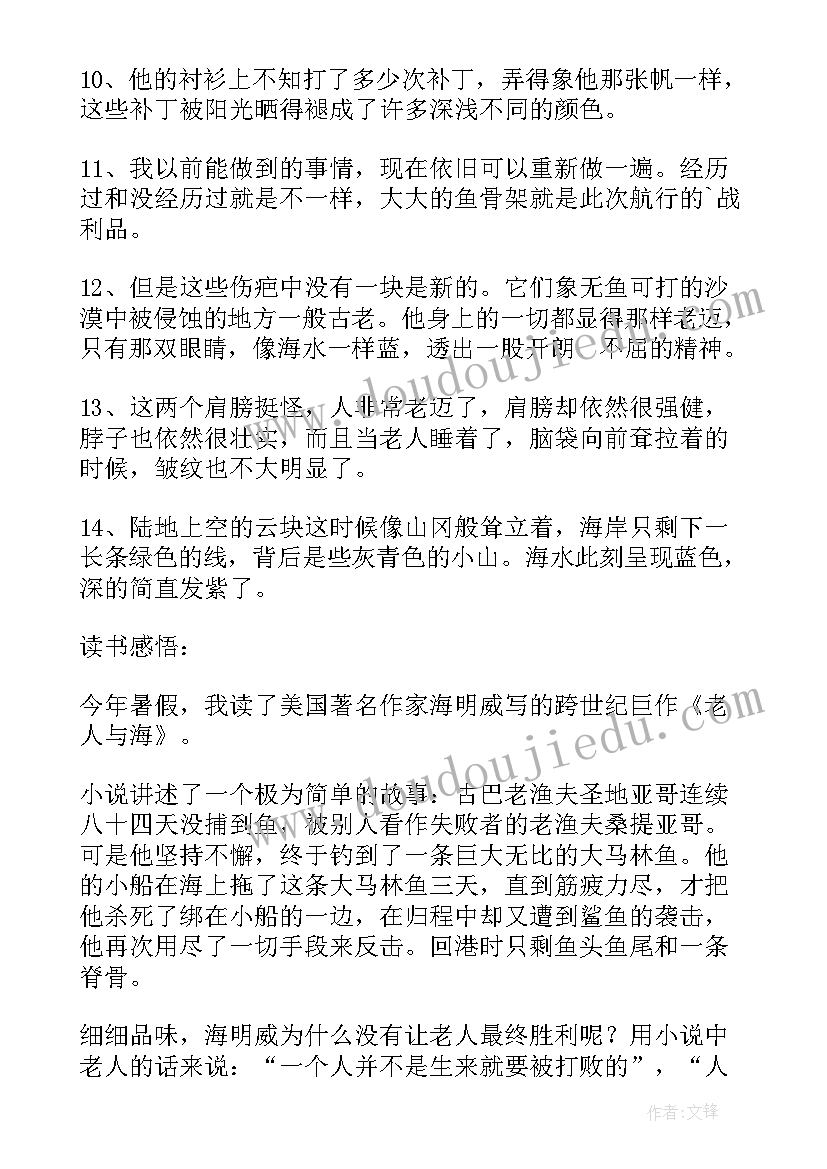 读书笔记心得体会 老人与海的读书笔记心得感悟(优质5篇)