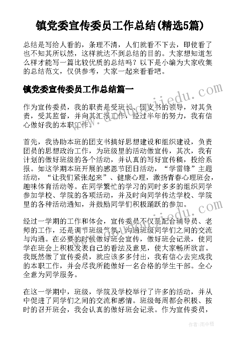 镇党委宣传委员工作总结(精选5篇)