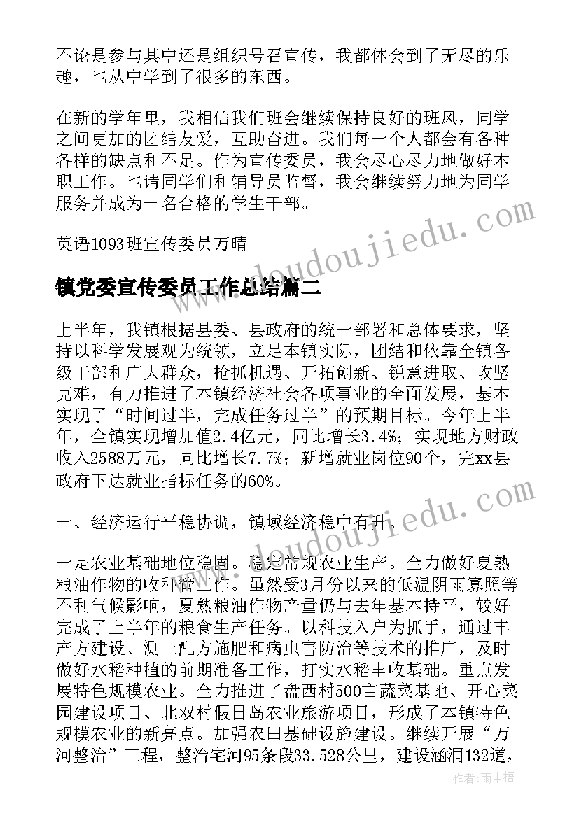 镇党委宣传委员工作总结(精选5篇)