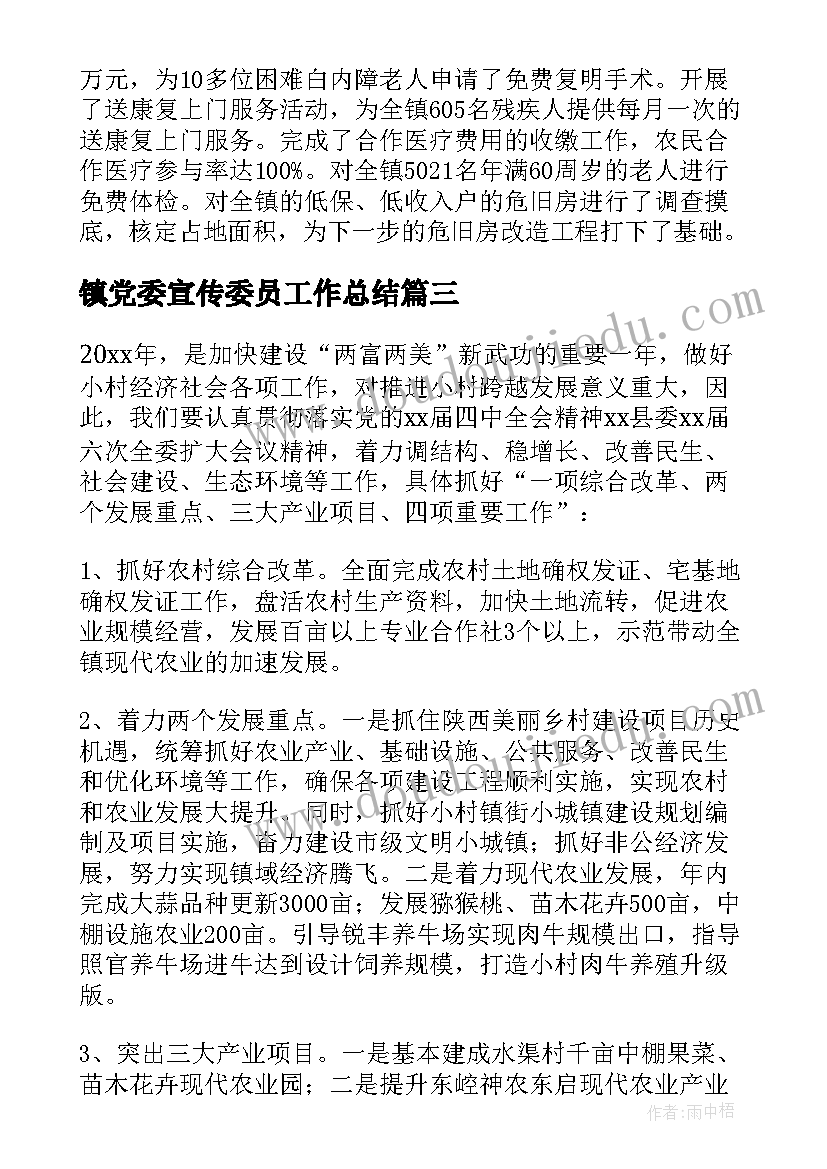 镇党委宣传委员工作总结(精选5篇)