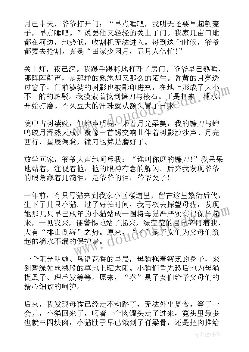 2023年百善孝为先国旗下演讲(通用5篇)