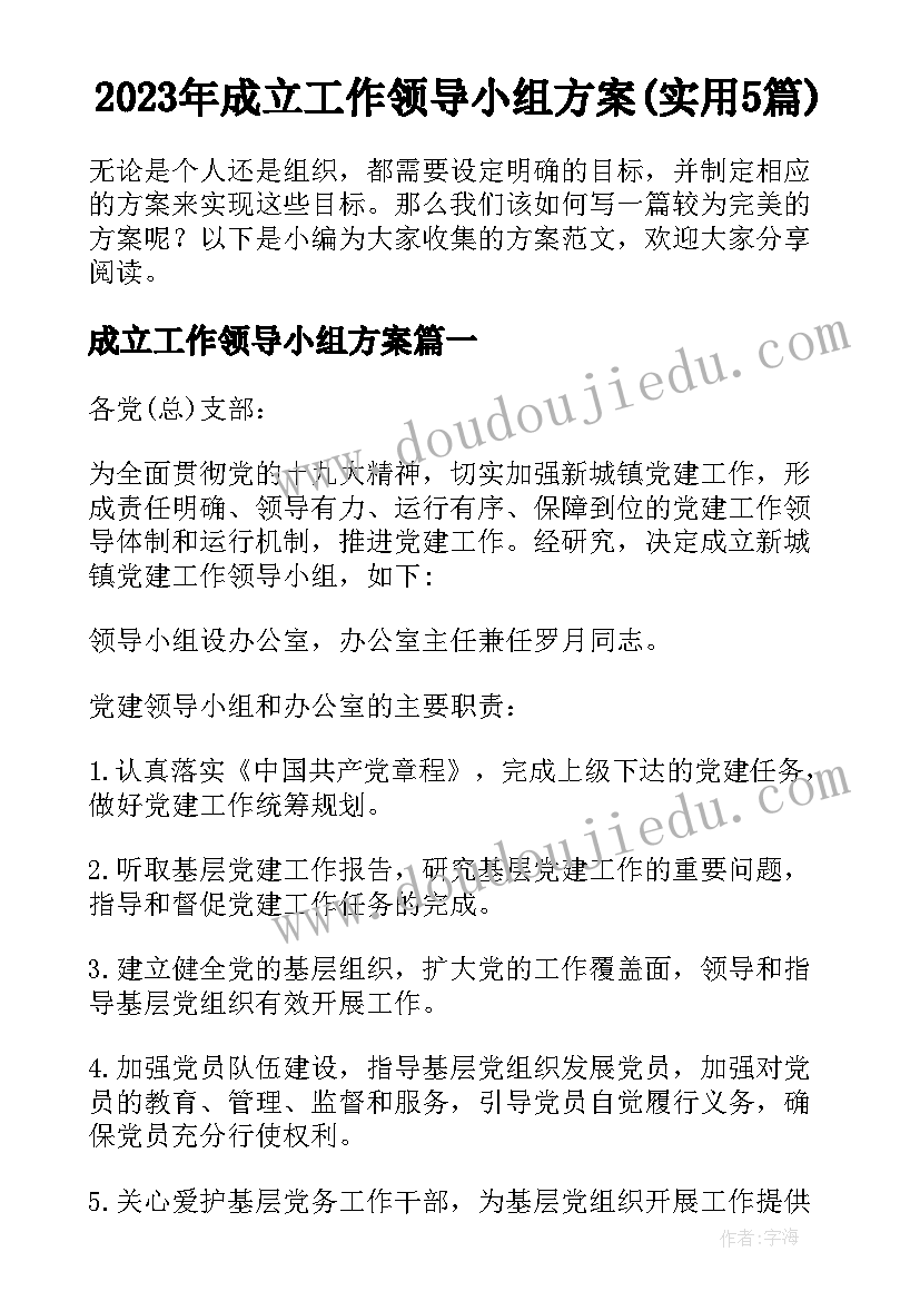 2023年成立工作领导小组方案(实用5篇)