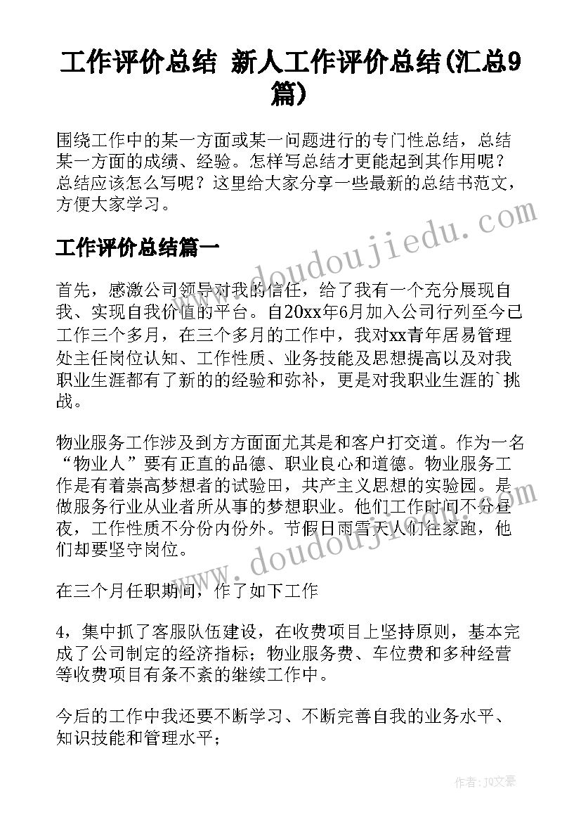 工作评价总结 新人工作评价总结(汇总9篇)