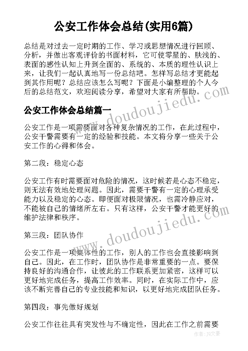 公安工作体会总结(实用6篇)