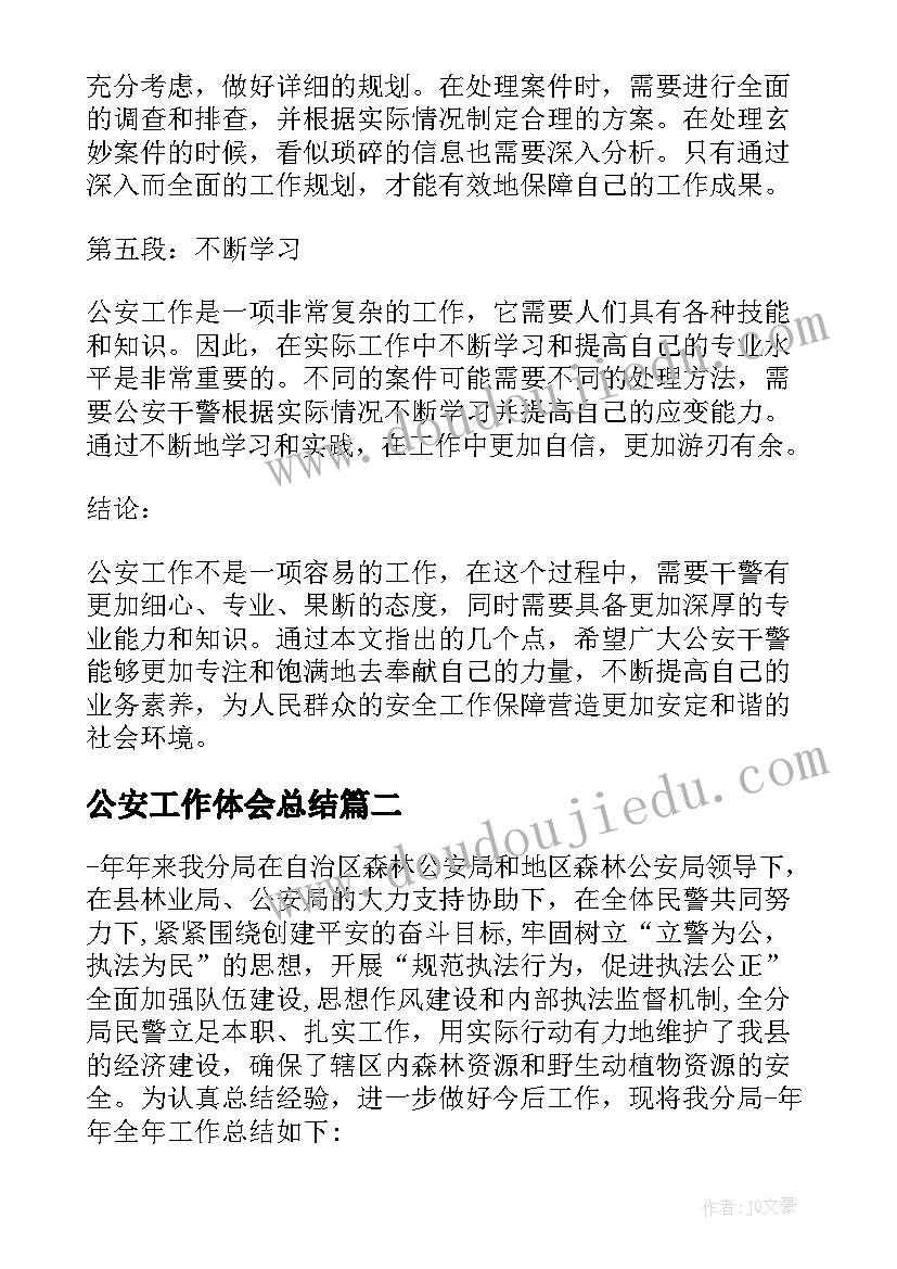 公安工作体会总结(实用6篇)