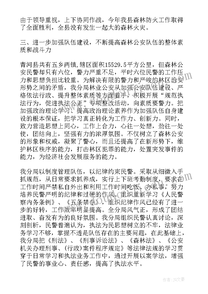 公安工作体会总结(实用6篇)