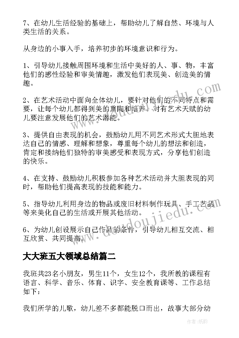 2023年大大班五大领域总结(汇总5篇)