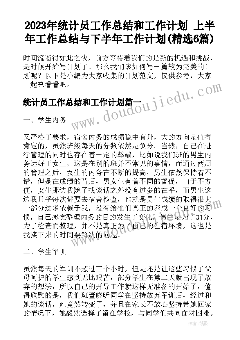 2023年统计员工作总结和工作计划 上半年工作总结与下半年工作计划(精选6篇)