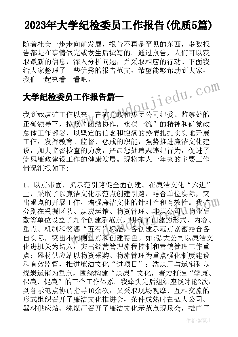 2023年大学纪检委员工作报告(优质5篇)