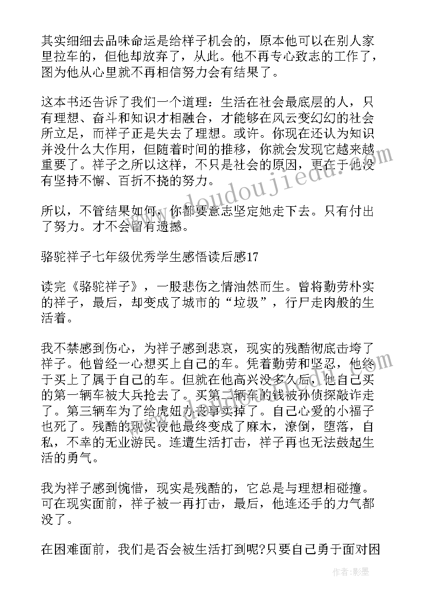 2023年学生感悟与反思七年级语文(实用5篇)