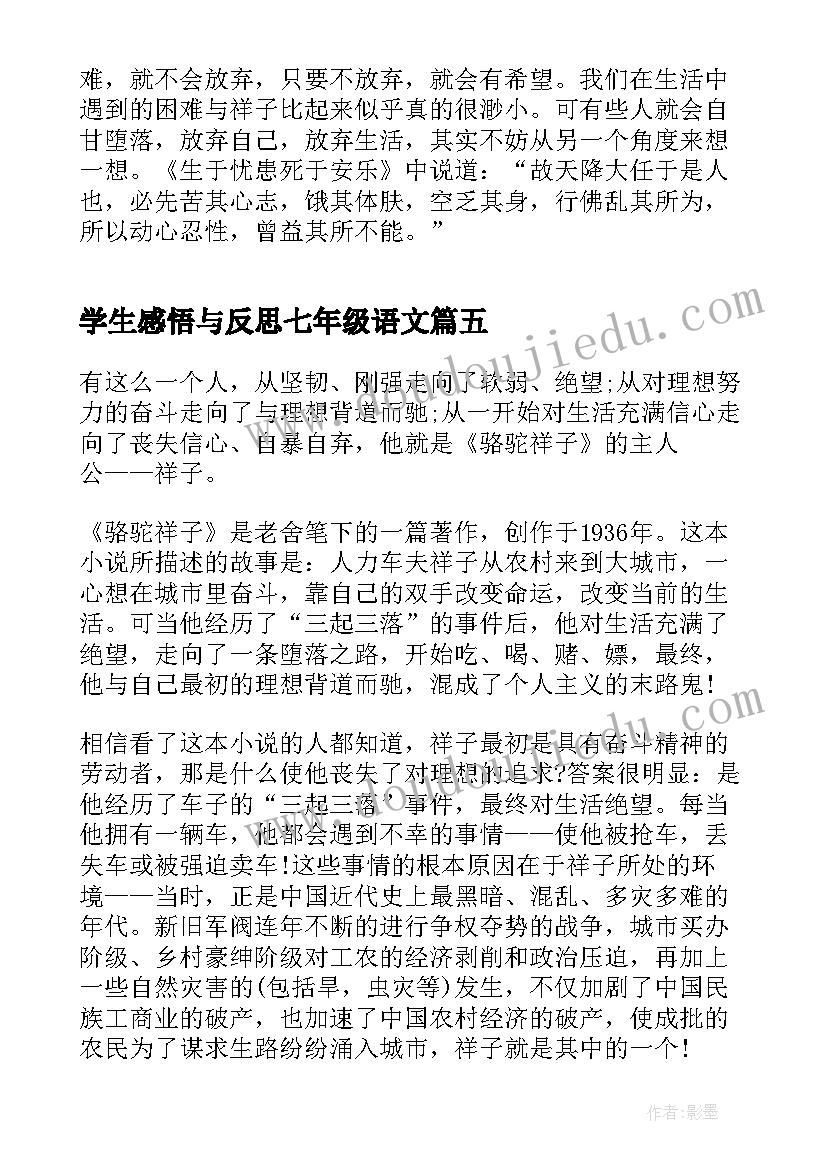 2023年学生感悟与反思七年级语文(实用5篇)