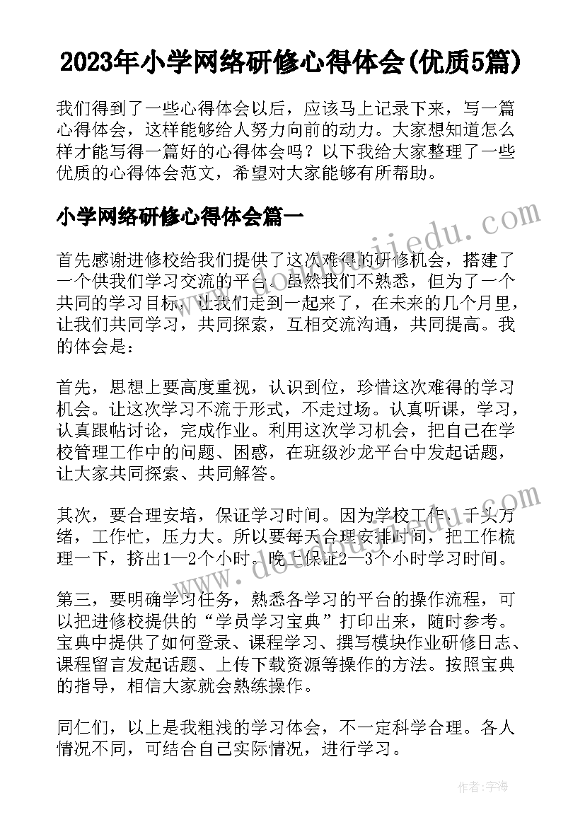 2023年小学网络研修心得体会(优质5篇)