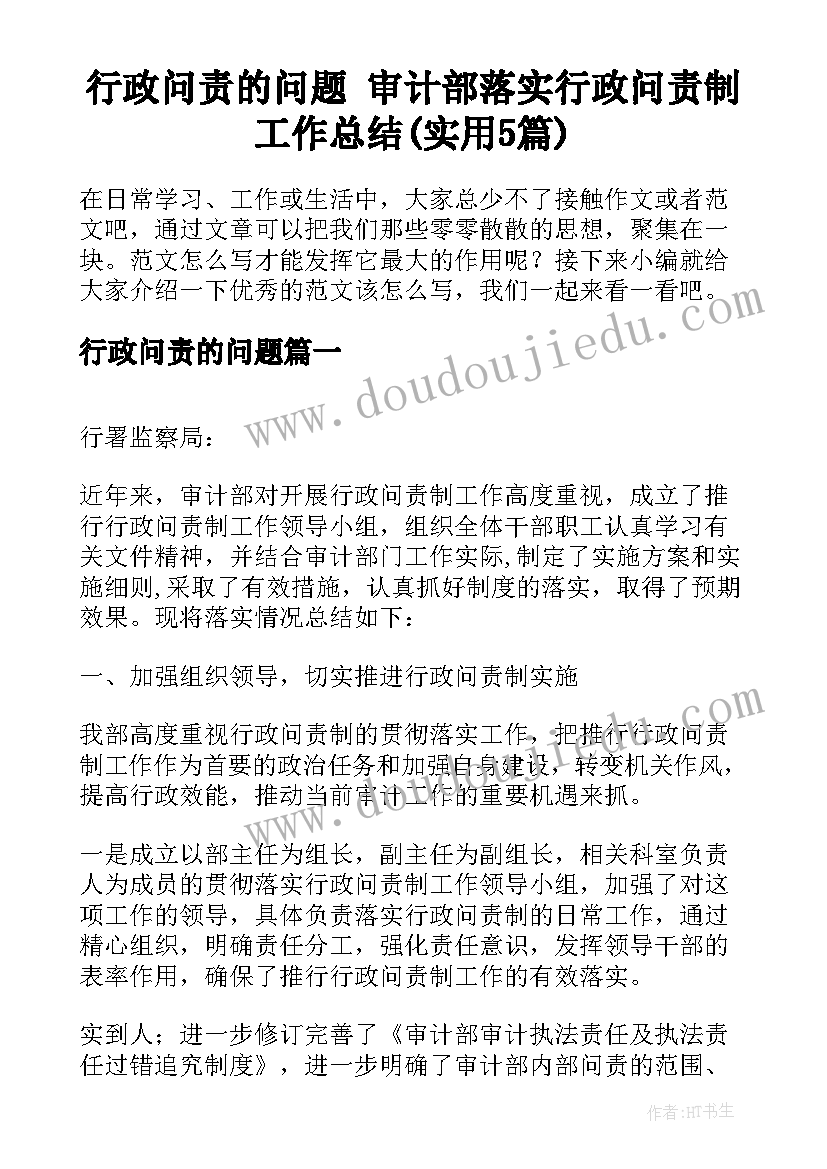 行政问责的问题 审计部落实行政问责制工作总结(实用5篇)