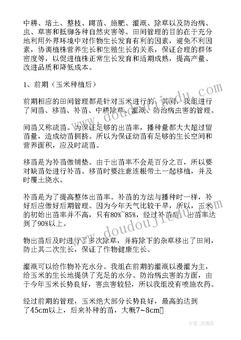 最新劳动实践心得和收获大学 劳动实践的心得体会与收获(大全5篇)