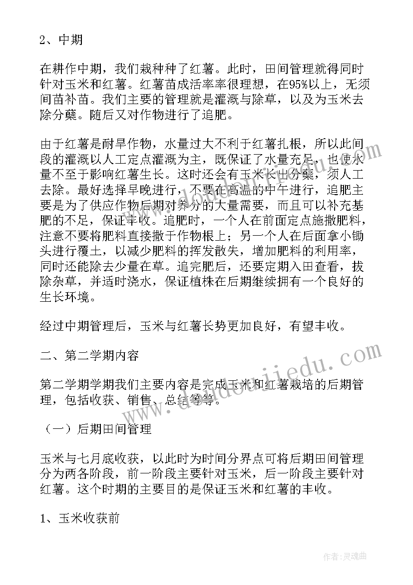 最新劳动实践心得和收获大学 劳动实践的心得体会与收获(大全5篇)