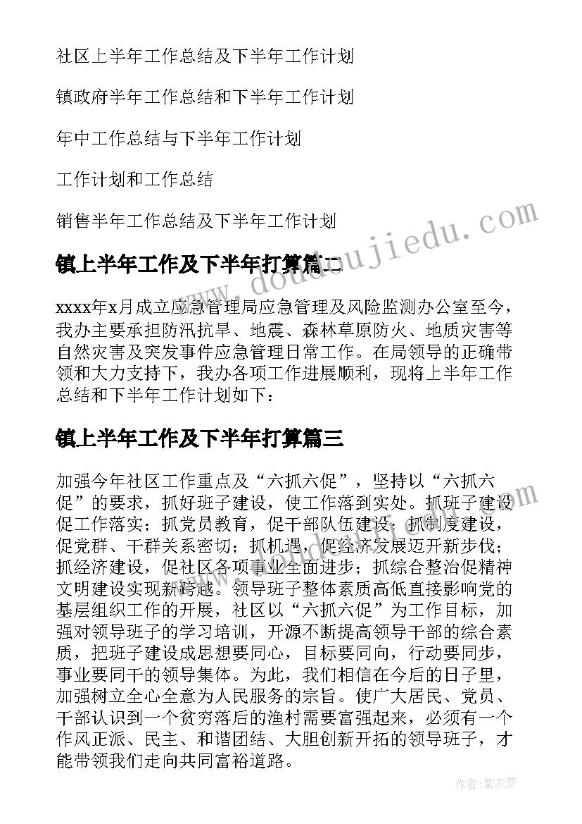 2023年镇上半年工作及下半年打算 上半年工作总结和下半年工作计划(模板6篇)