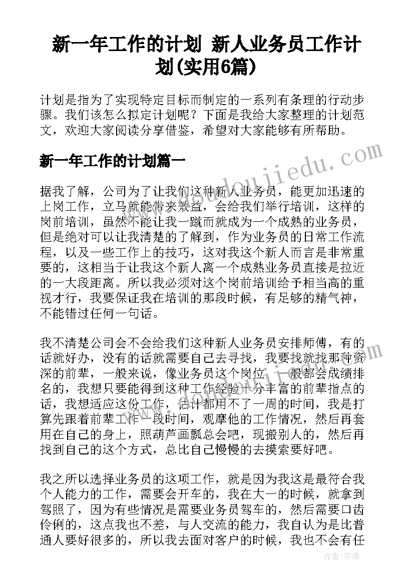 新一年工作的计划 新人业务员工作计划(实用6篇)