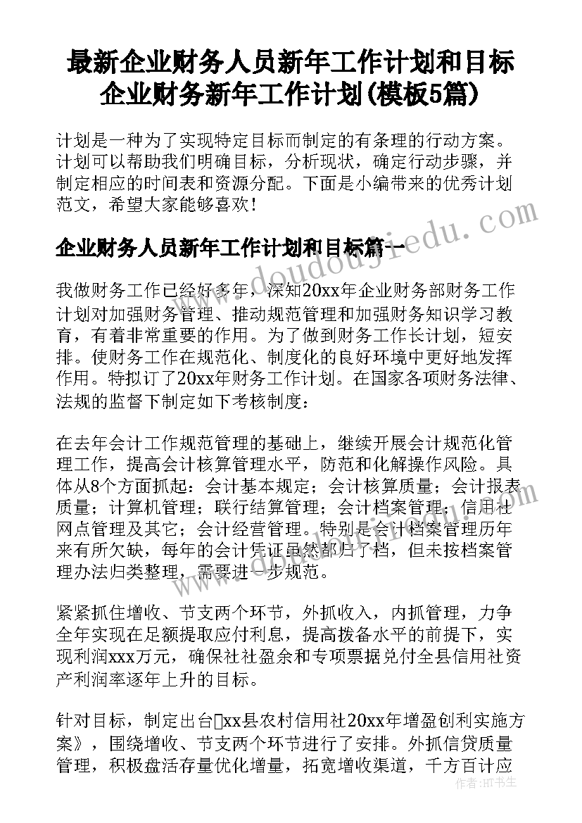 最新企业财务人员新年工作计划和目标 企业财务新年工作计划(模板5篇)