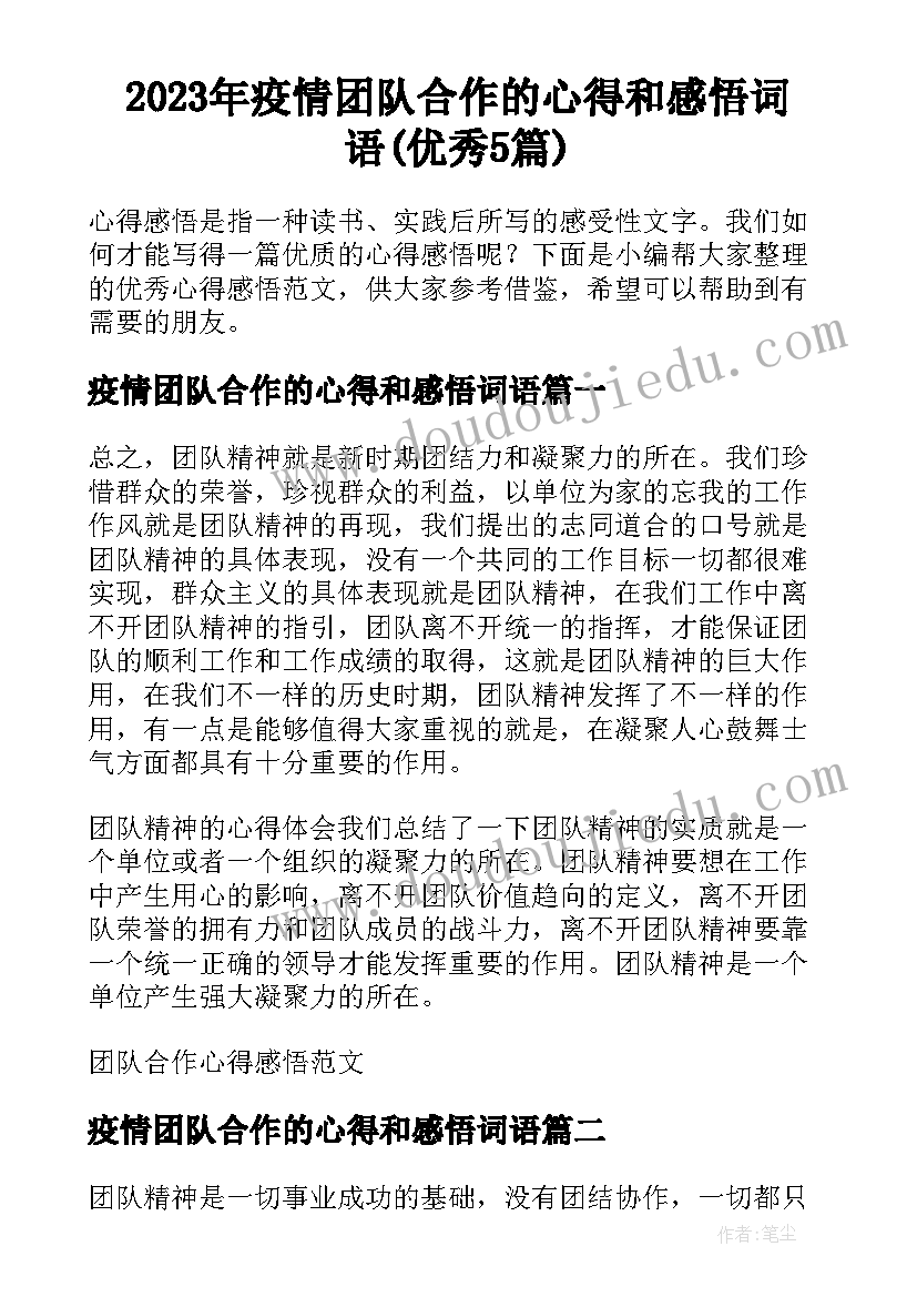 2023年疫情团队合作的心得和感悟词语(优秀5篇)