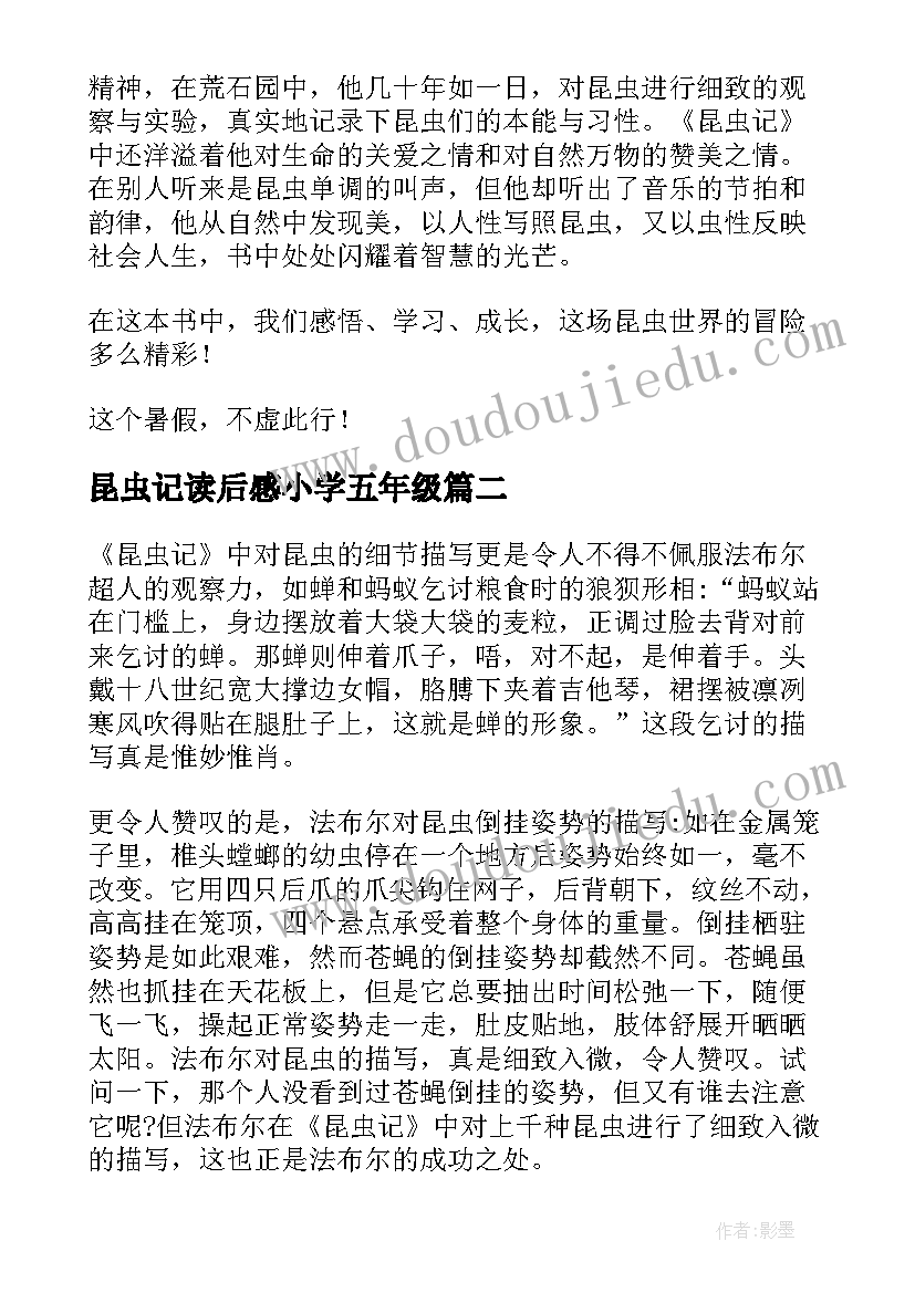 最新昆虫记读后感小学五年级(模板6篇)