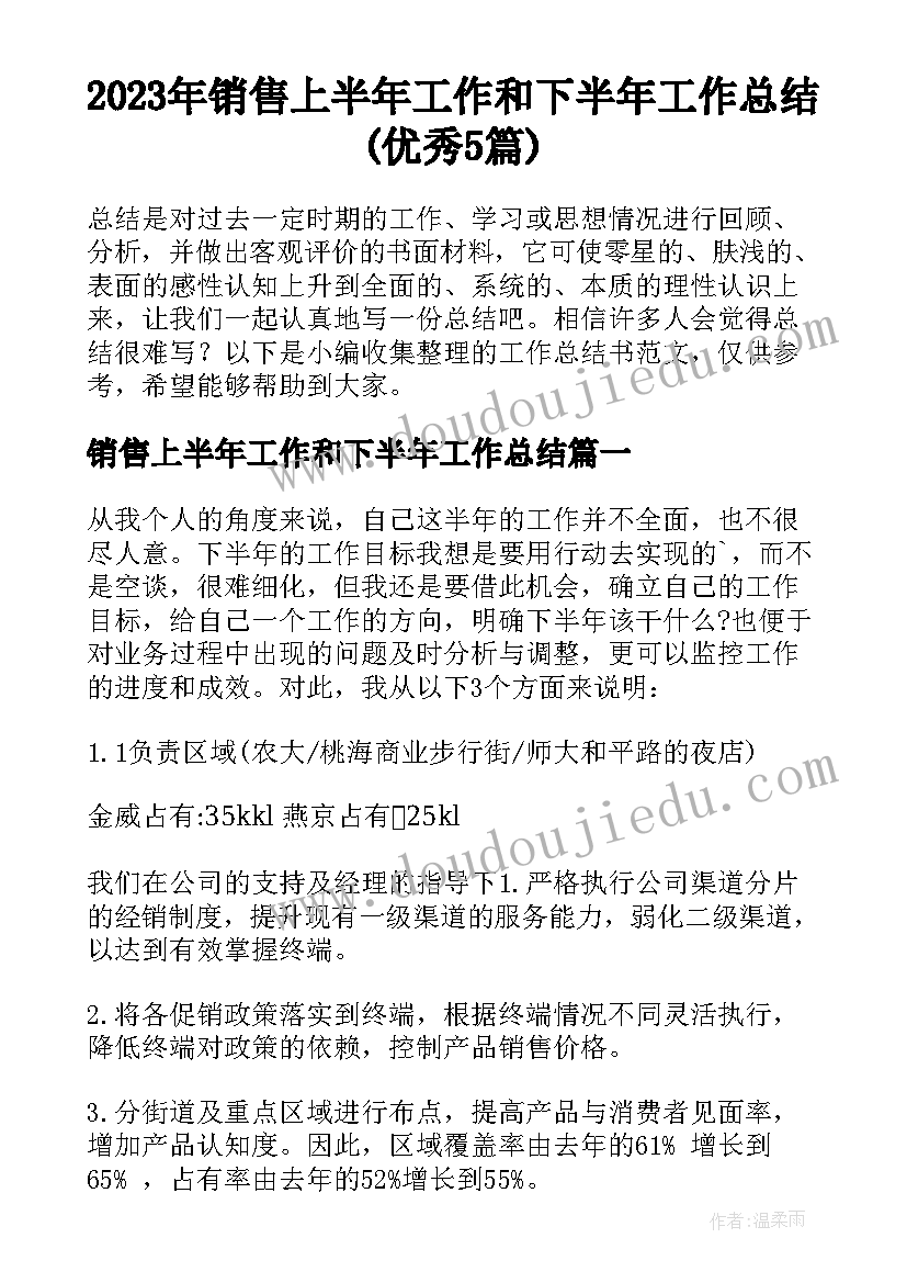 2023年销售上半年工作和下半年工作总结(优秀5篇)