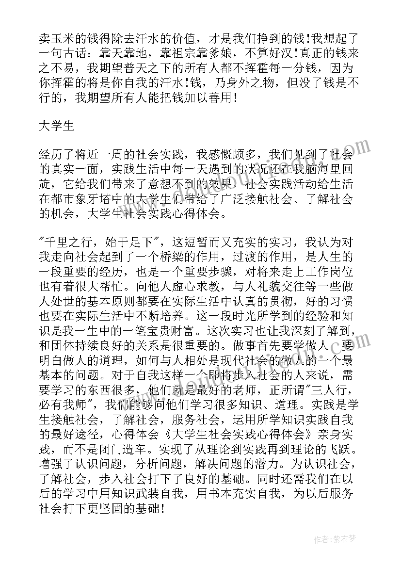 2023年学生个人的社会实践体会总结(大全5篇)