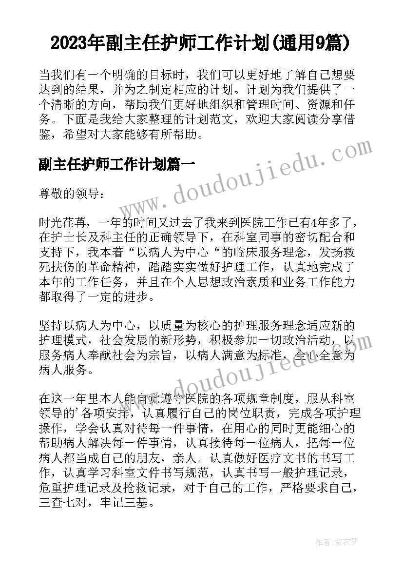 2023年副主任护师工作计划(通用9篇)