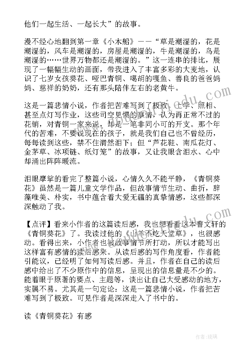 2023年青铜葵花第六章读后感(汇总5篇)