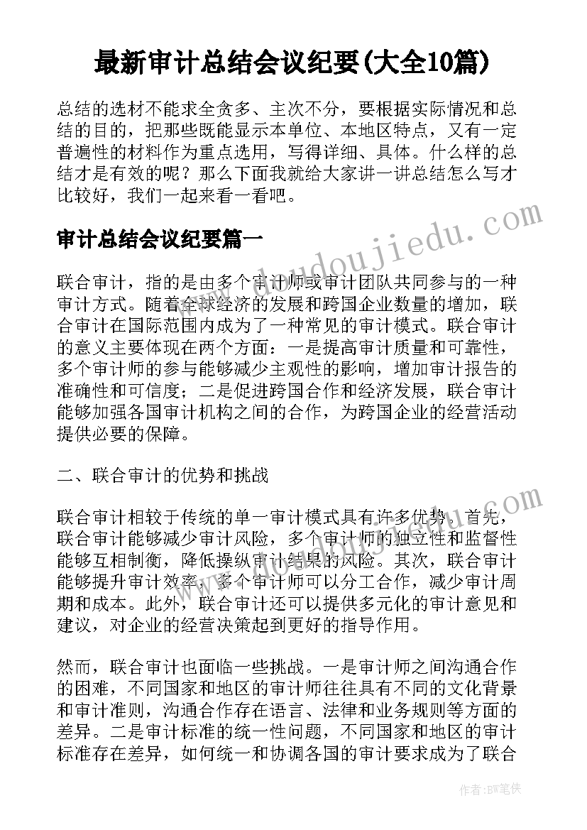 最新审计总结会议纪要(大全10篇)