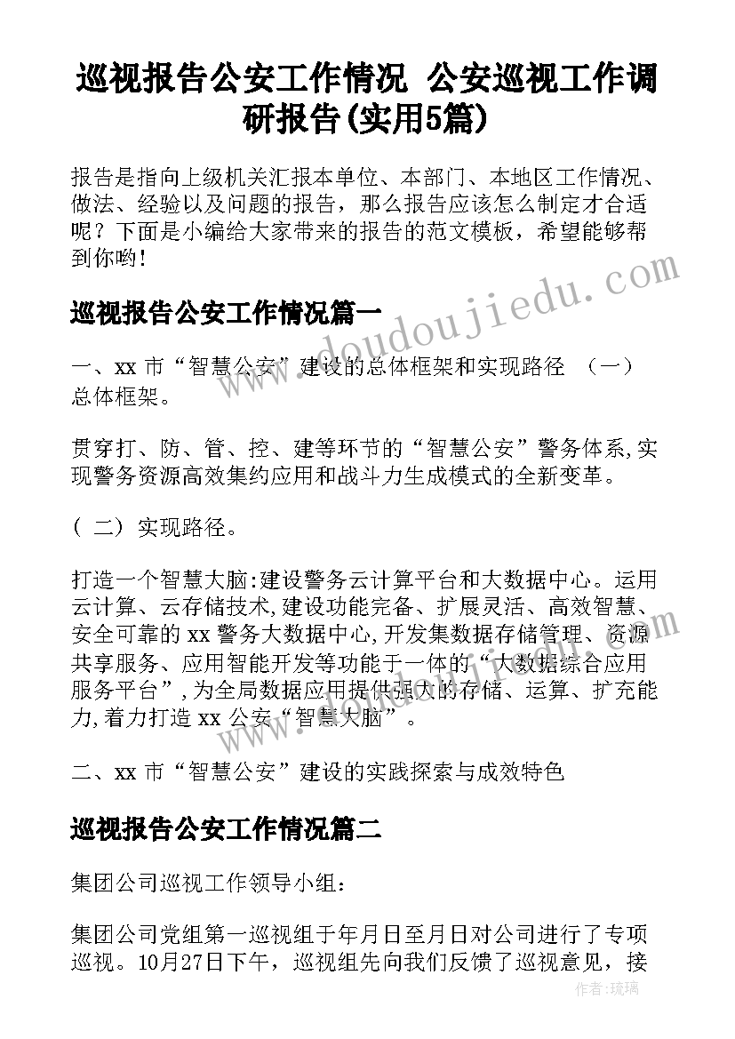 巡视报告公安工作情况 公安巡视工作调研报告(实用5篇)