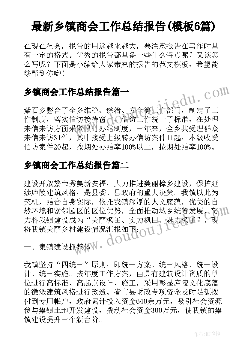 最新乡镇商会工作总结报告(模板6篇)