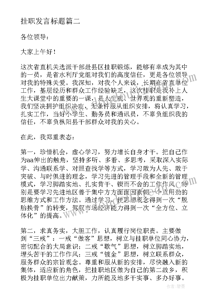 2023年挂职发言标题(精选5篇)