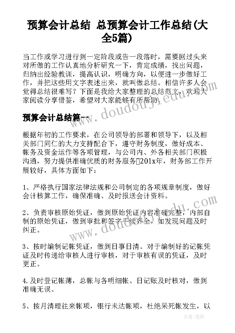 预算会计总结 总预算会计工作总结(大全5篇)