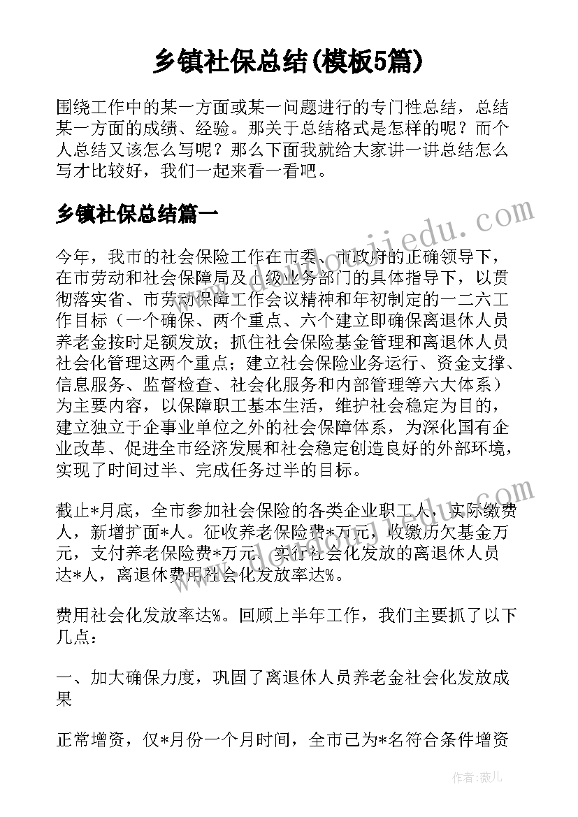 乡镇社保总结(模板5篇)