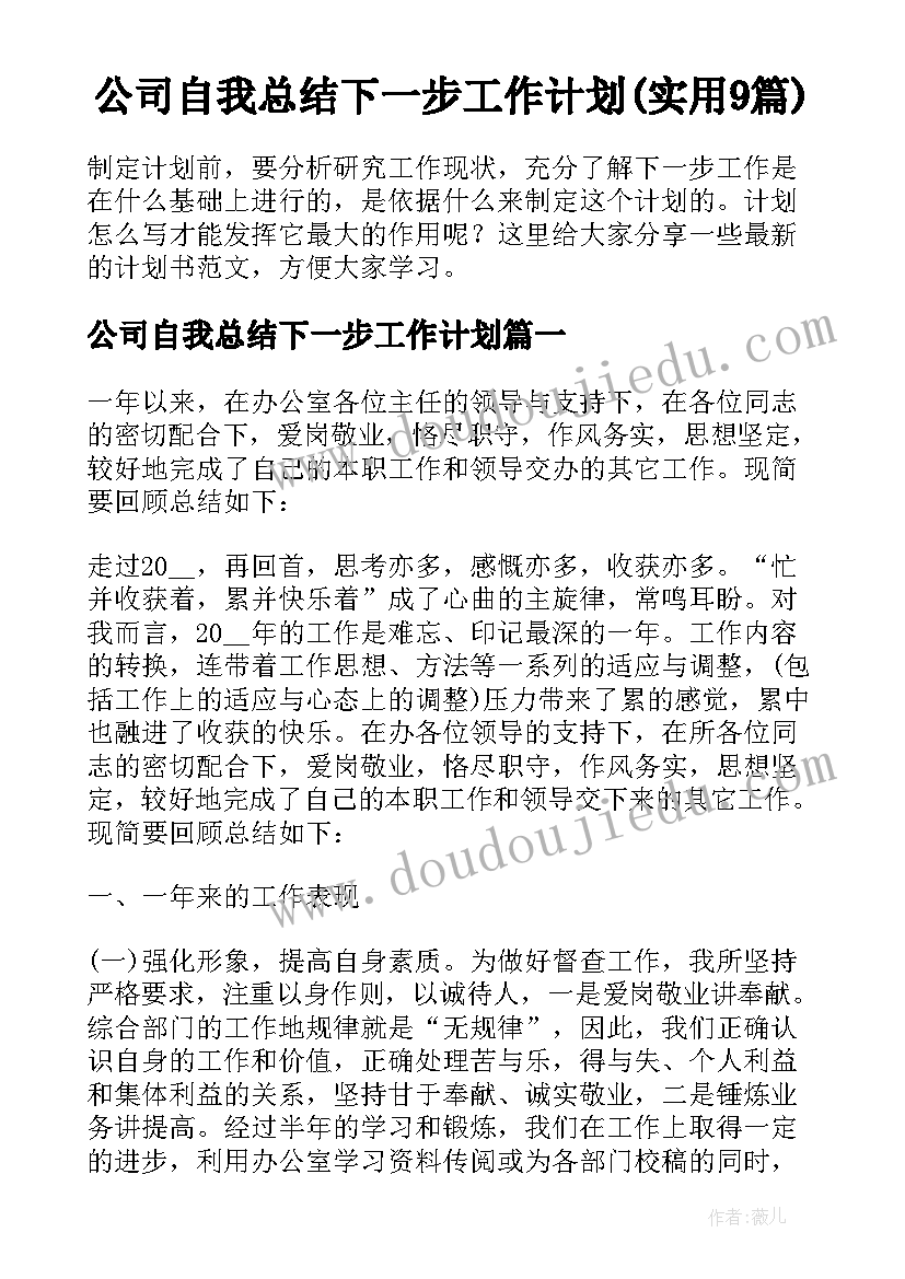 公司自我总结下一步工作计划(实用9篇)