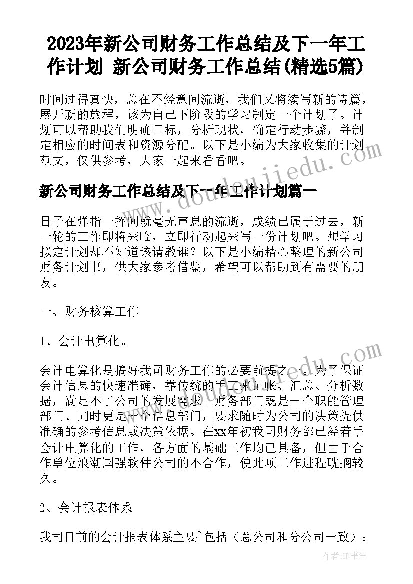 2023年新公司财务工作总结及下一年工作计划 新公司财务工作总结(精选5篇)