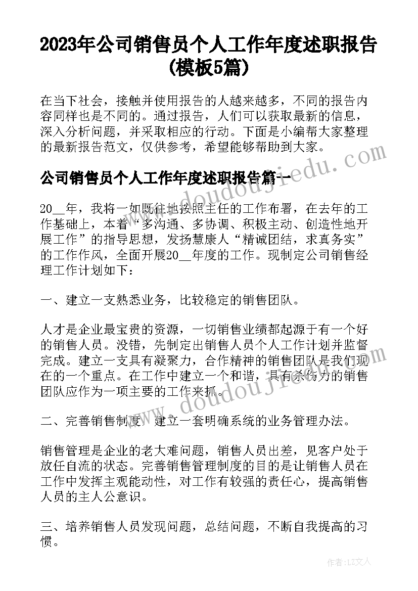 2023年公司销售员个人工作年度述职报告(模板5篇)