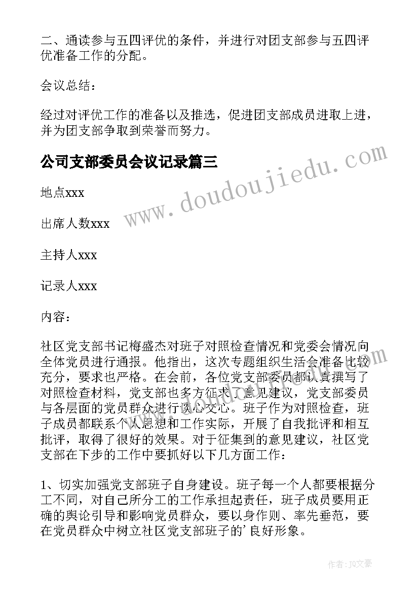 公司支部委员会议记录 支部委员会会议记录(模板9篇)