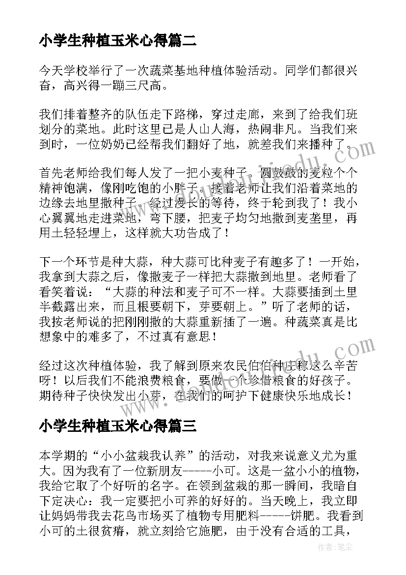 小学生种植玉米心得(优质6篇)