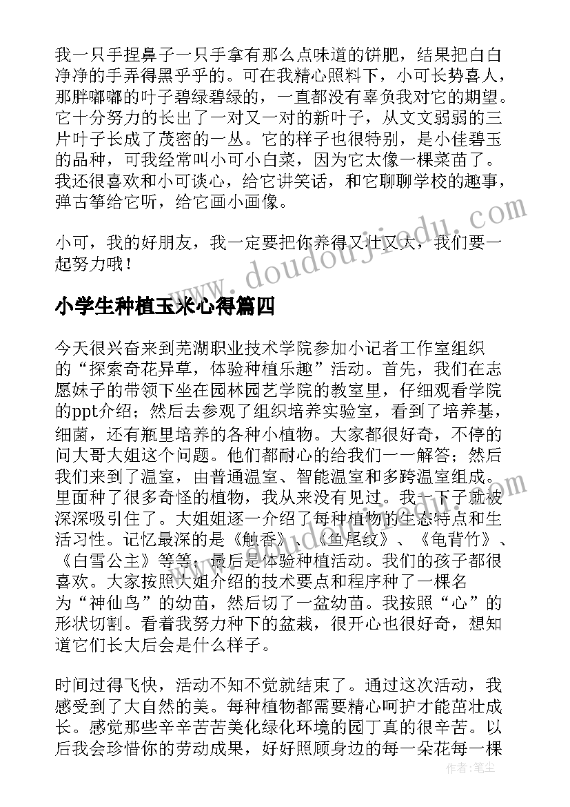 小学生种植玉米心得(优质6篇)