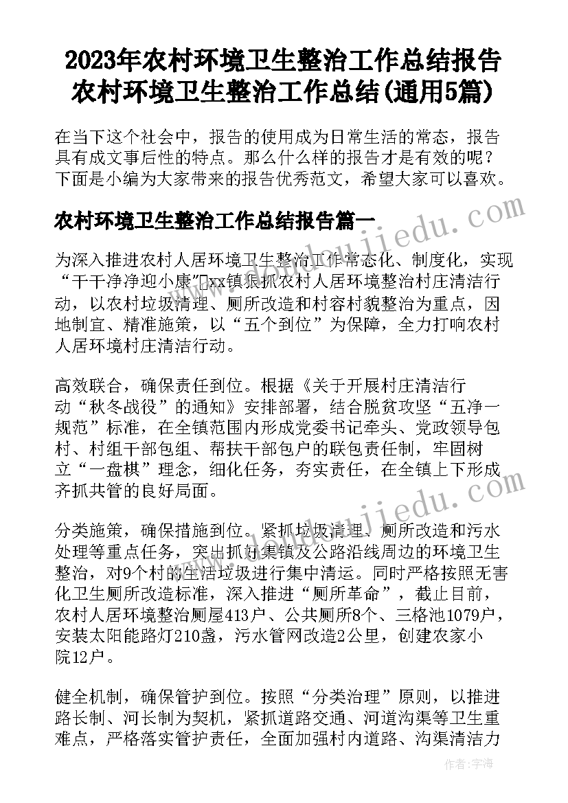 2023年农村环境卫生整治工作总结报告 农村环境卫生整治工作总结(通用5篇)