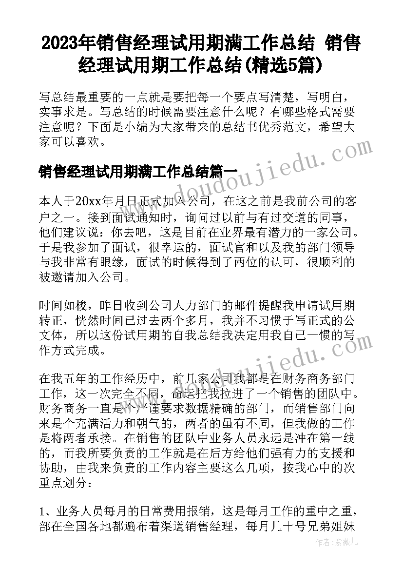 2023年销售经理试用期满工作总结 销售经理试用期工作总结(精选5篇)