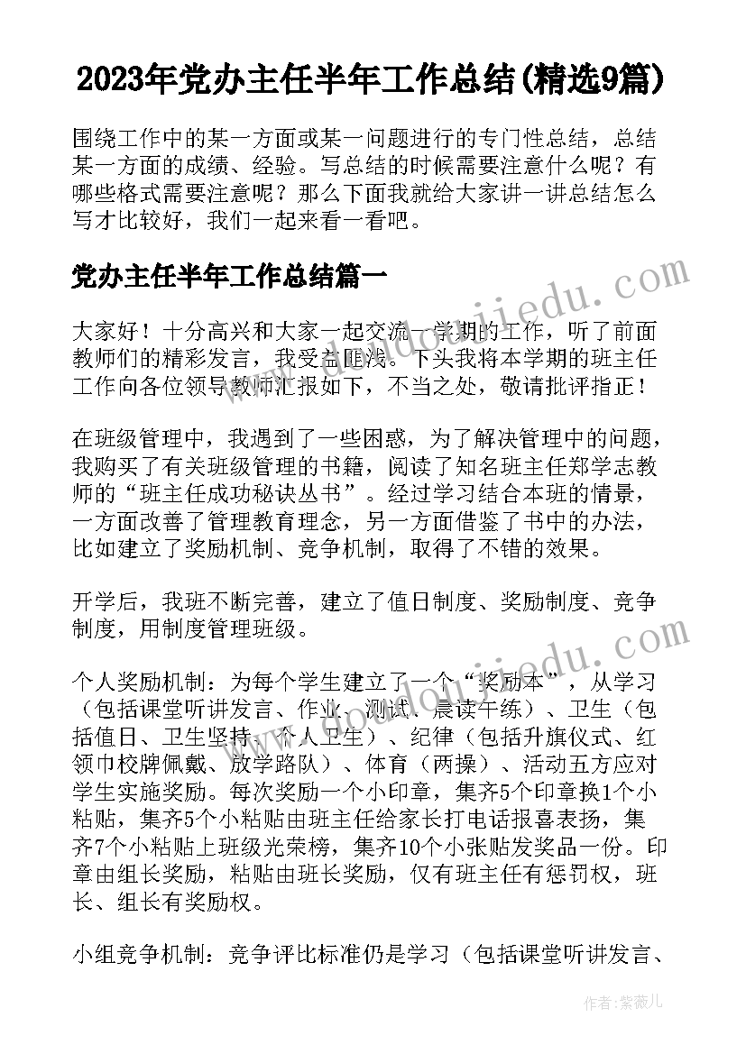 2023年党办主任半年工作总结(精选9篇)